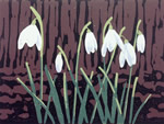 /library/uploads/Images_S8/WEB2SCALE A Promise of Snowdrops.jpg